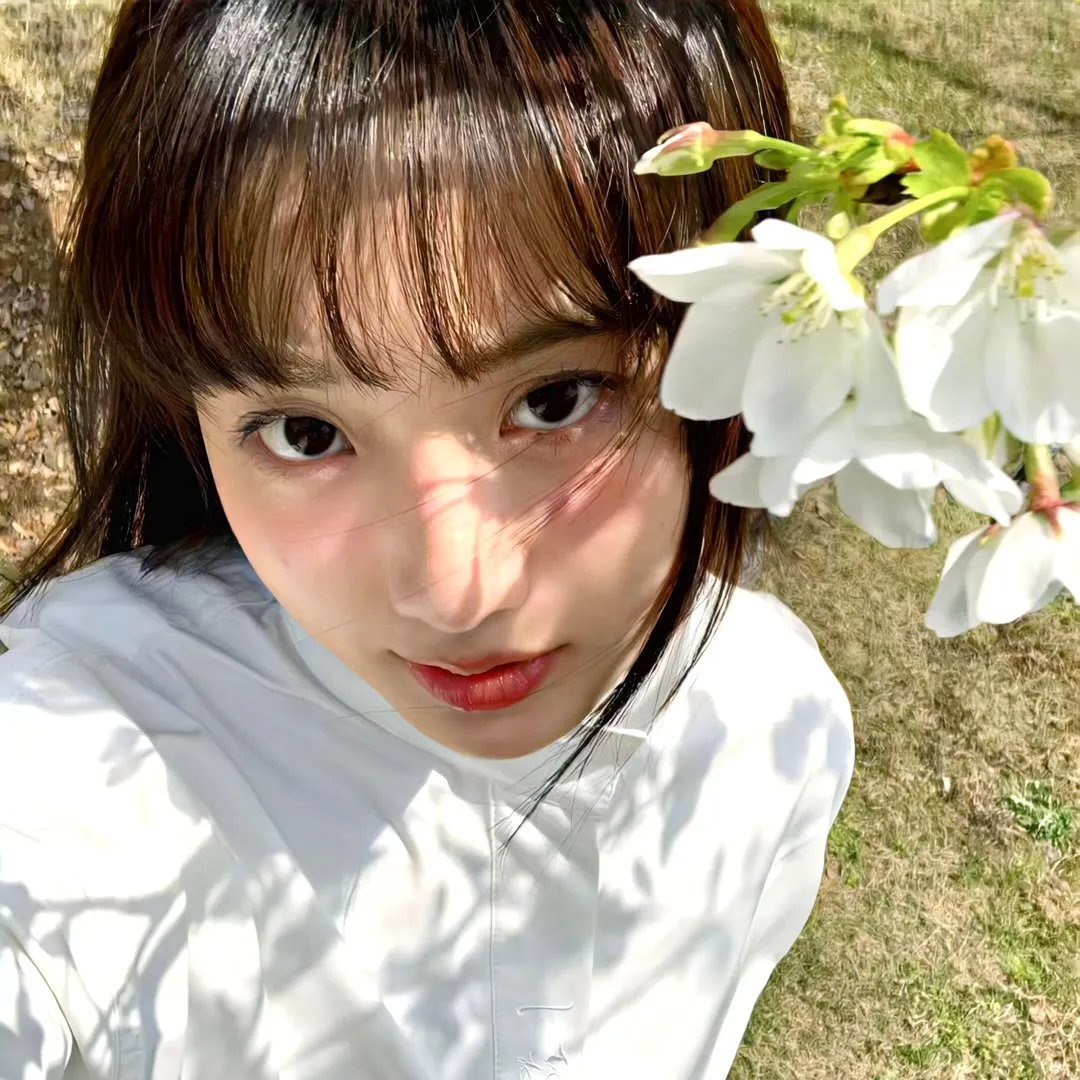 动物狂想曲第二季